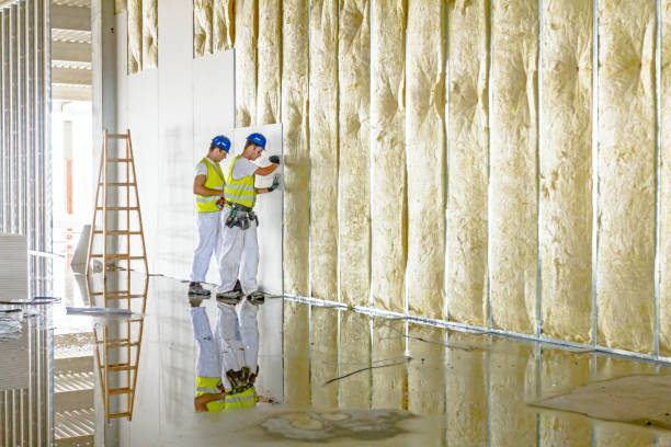 Best Residential Insulation in Marienville, PA